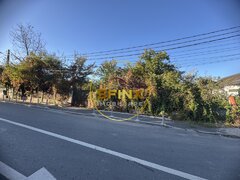 Otopeni, Ferme C Teren